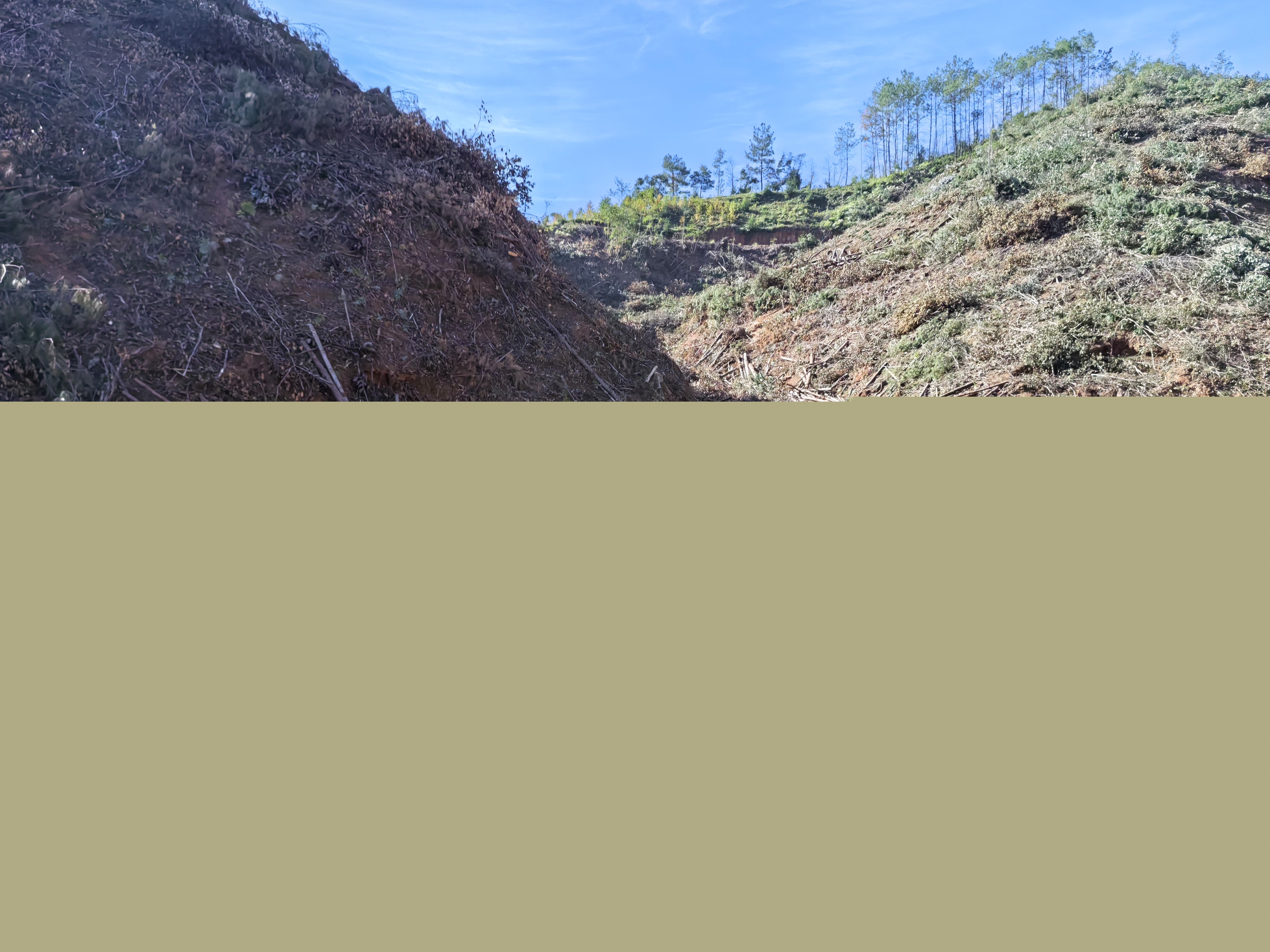 平安常青，我們?cè)谛袆?dòng)——常青分公司開展安全生產(chǎn)日活動(dòng)