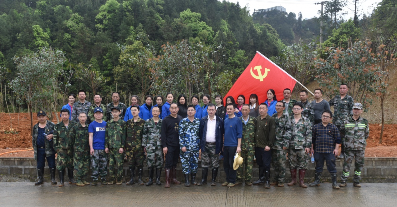 陽春三月雨，正是植樹好時節