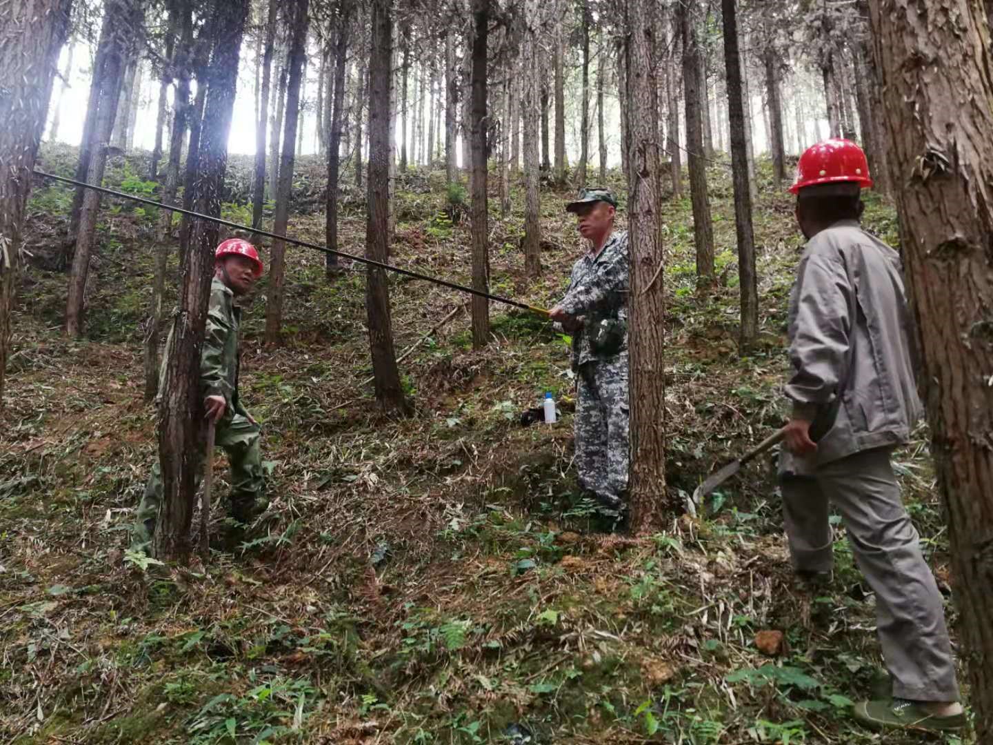 支部結(jié)對共建 促進黨建業(yè)務(wù)“雙提升” 支部結(jié)對共建 促進黨建業(yè)務(wù)“雙提升”
