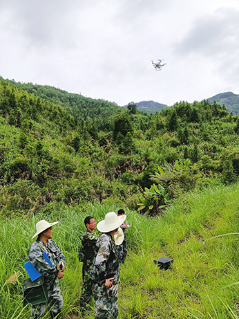 嚴(yán)把森林培育質(zhì)量關(guān)，譜寫(xiě)資源培育新篇章